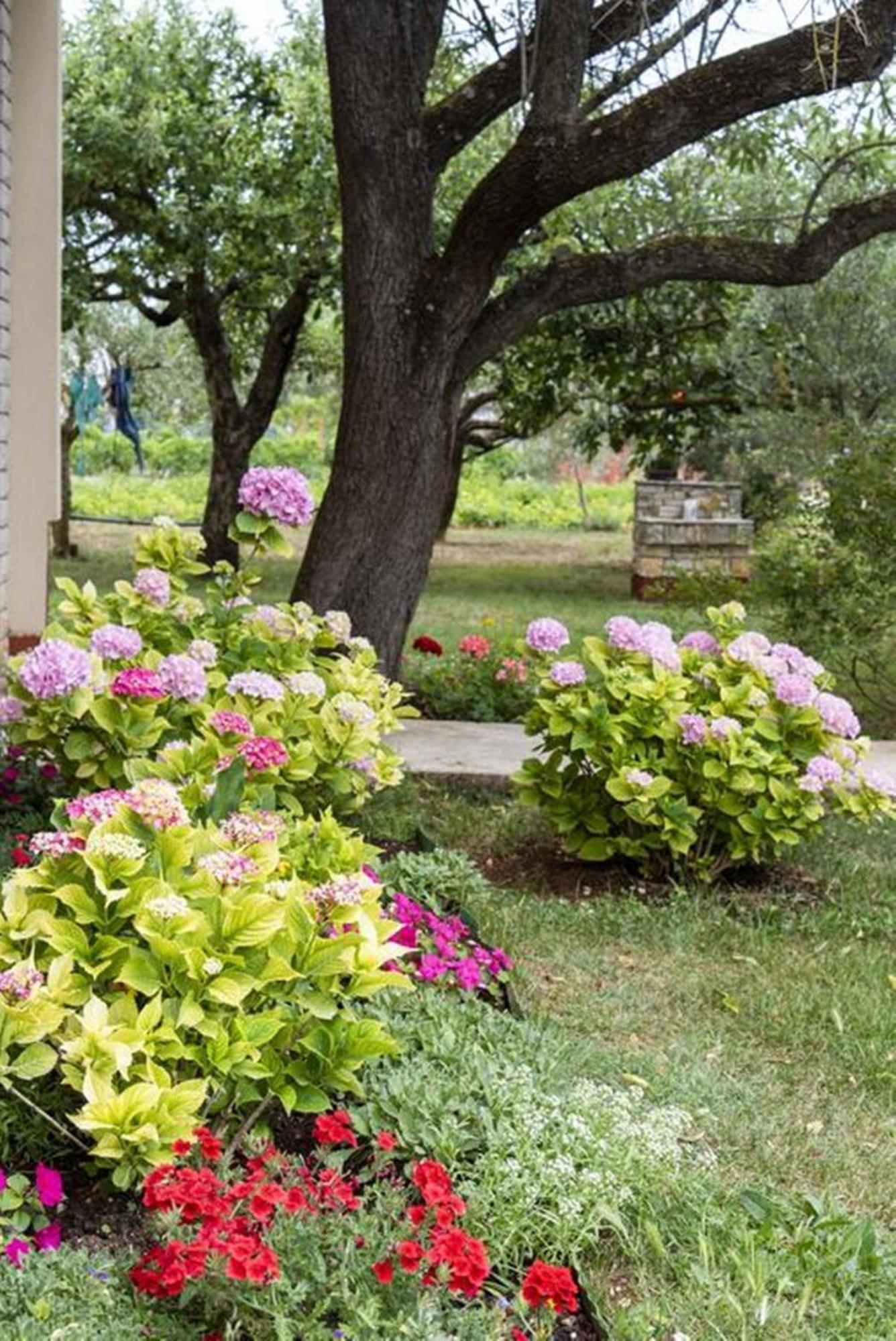 Flower Garden Rhapsody - Modern Family Apartments Near Fažana Exterior foto
